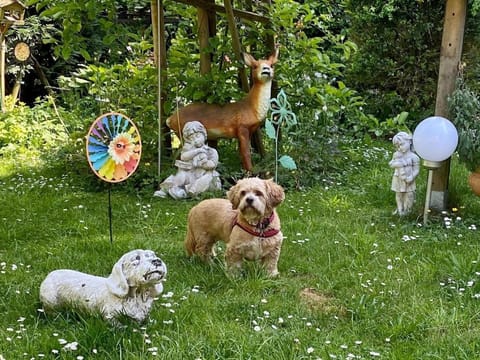 Spring, Garden