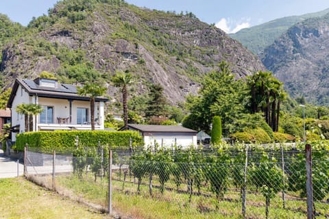 Mountain view, Street view
