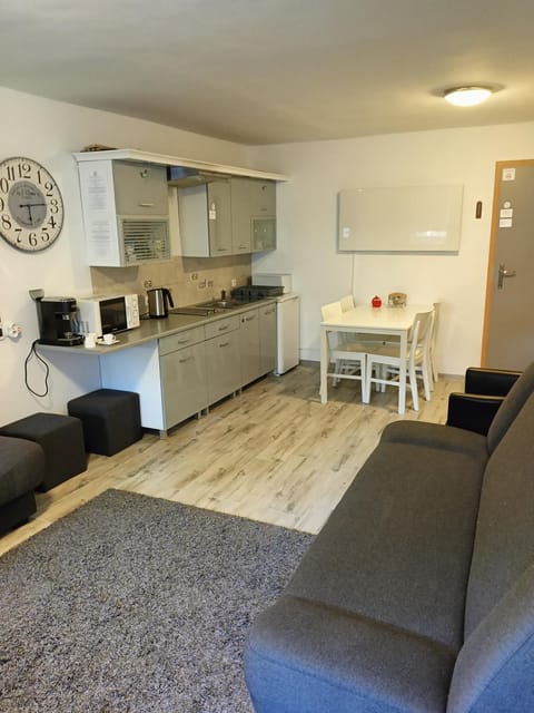 Kitchen or kitchenette, Living room, Seating area, Dining area, minibar, stove