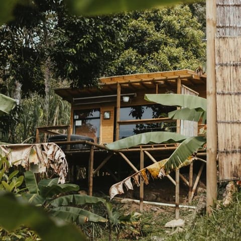 Balcony/Terrace, Garden view