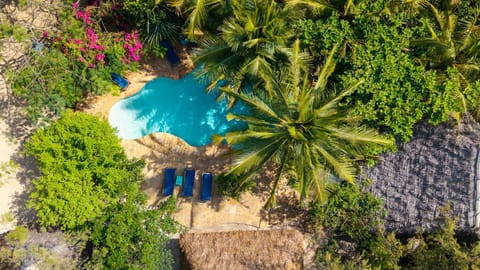 Bird's eye view, Garden view, Swimming pool