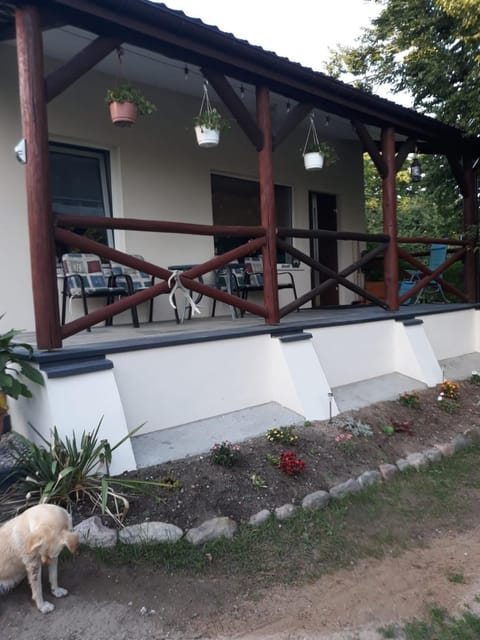 Property building, Pets