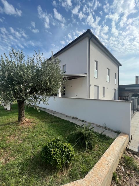 Apartment maslina Apartment in Poreč