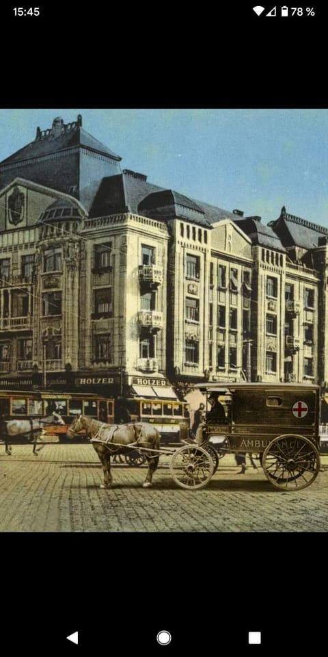 Ultra-central apartment in the Loffler Palace Apartment in Timisoara