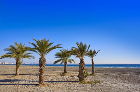 Neighbourhood, Beach