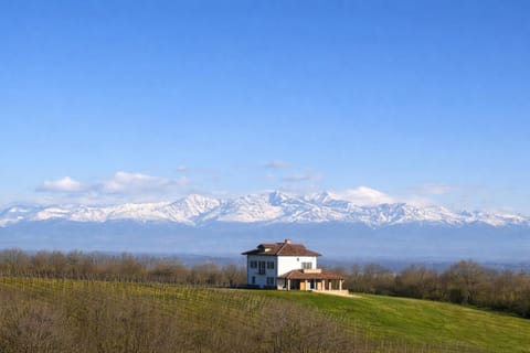 Day, Natural landscape, Mountain view, Seasons
