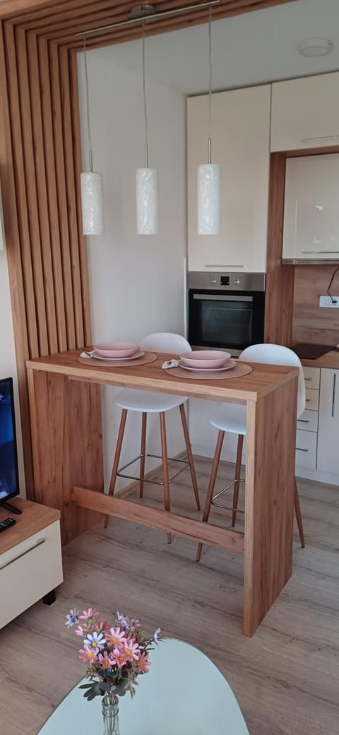 Apartman Bross Apartment in Vojvodina