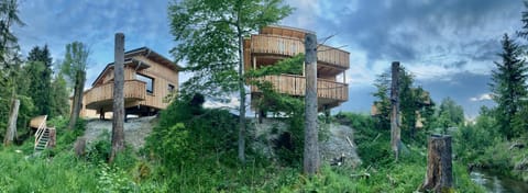 Property building, Natural landscape