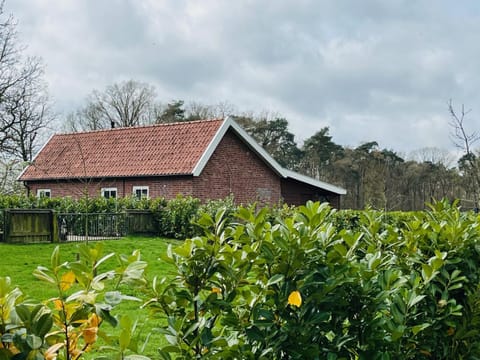 Property building, Spring, Natural landscape, Garden, Garden view