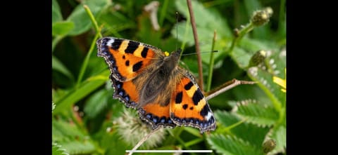 Cois na mara bridges of Ross V15 T677 Bed and Breakfast in County Clare