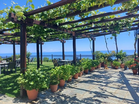 Spring, Day, Natural landscape, Garden, Garden view, Sea view