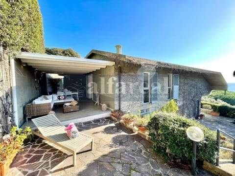 Property building, Garden view