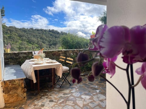 Patio, Spring, Day, Natural landscape