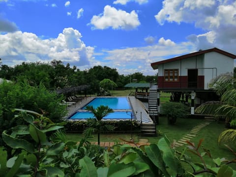 Pool view