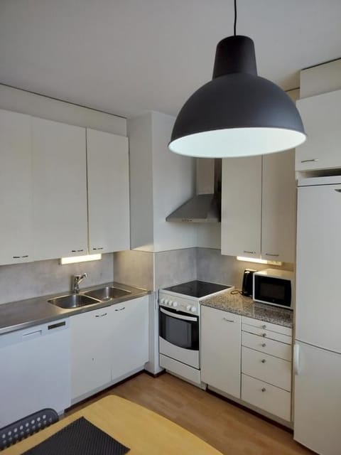 Kitchen or kitchenette, dishwasher, minibar, pet friendly, stove