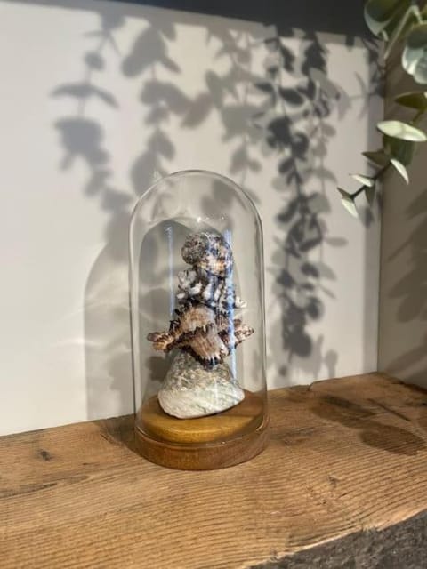 Seaside Modern Apartment Apartment in Westward Ho