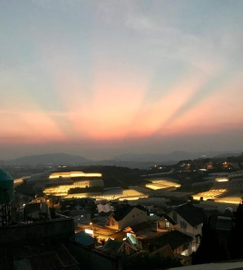 Bird's eye view, Sunset