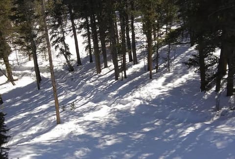 Pure Lux W Hot Tub, Zipline & Sauna! House in Park County