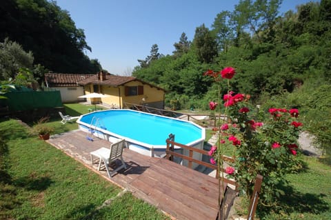 Garden, Swimming pool, Swimming pool