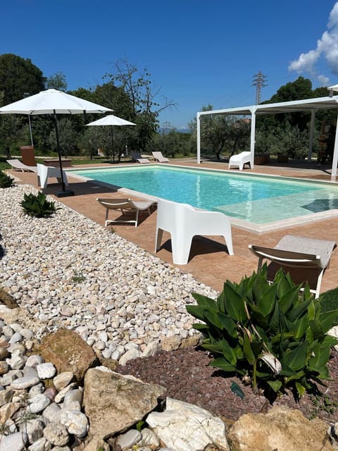 Day, Pool view, Swimming pool