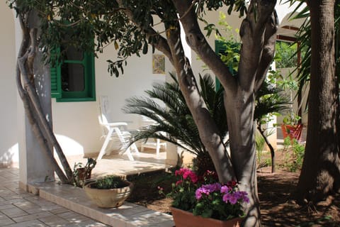 Garden, Garden view