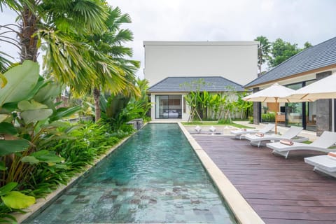 Pool view, Swimming pool, sunbed