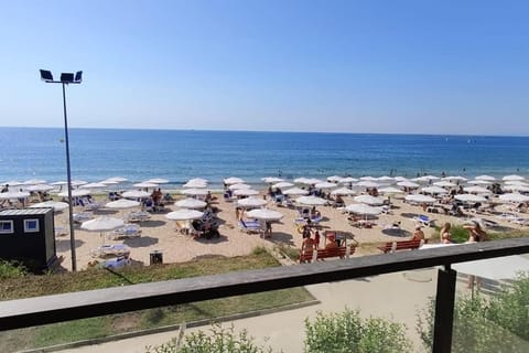 Day, Beach, Sea view, sunbed