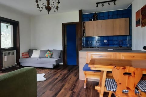 Casa appena ristrutturata in posizione strategica Apartment in Ponte di Legno