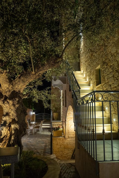 Night, Garden, Garden view