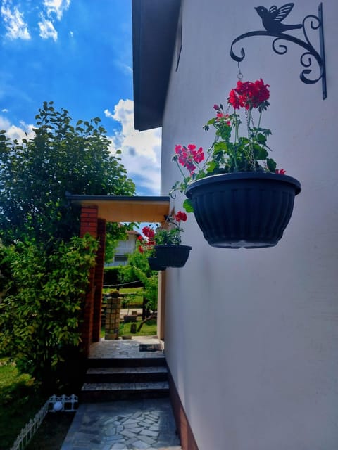 Patio, Garden, Garden view
