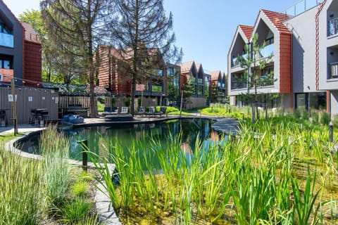 Garden, Swimming pool