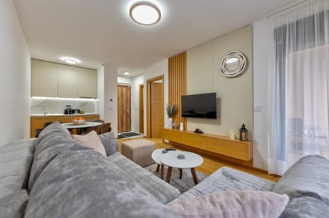 Communal lounge/ TV room, TV and multimedia, Kitchen or kitchenette, Living room, Seating area, Dining area, minibar