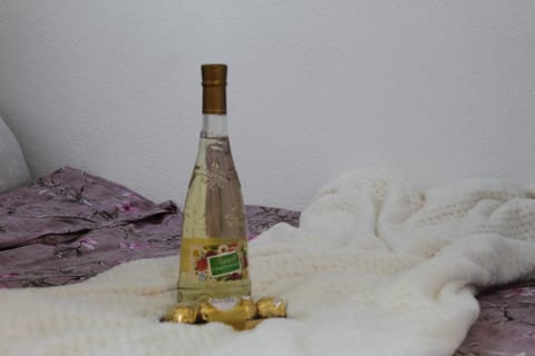 Zara Lux 2 Apartment in Serbia