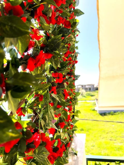 Spring, Day