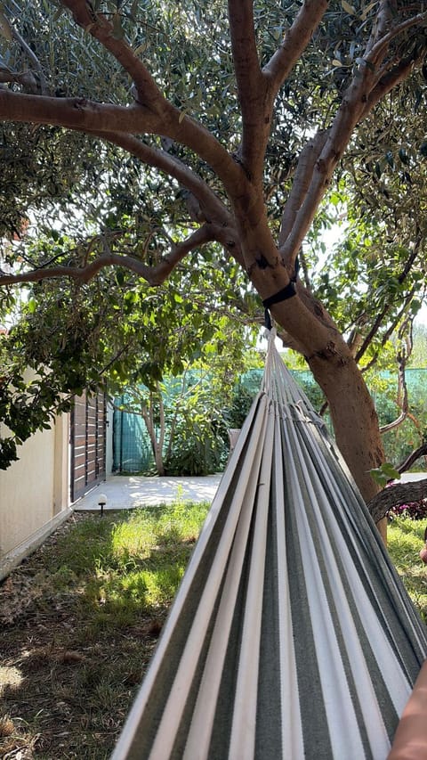 Day, Natural landscape, Garden, Garden view