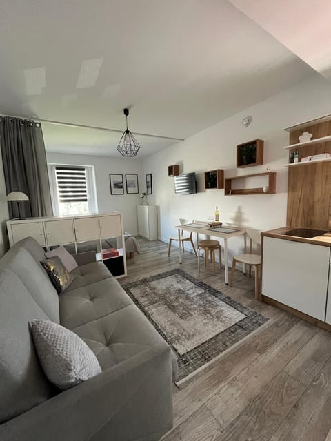 TV and multimedia, Kitchen or kitchenette, Seating area, Dining area