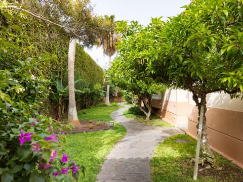 Garden, Garden