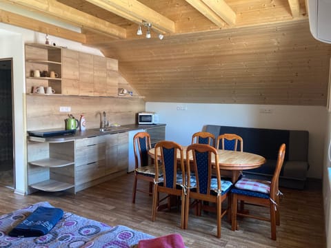 Kitchen or kitchenette, kitchen