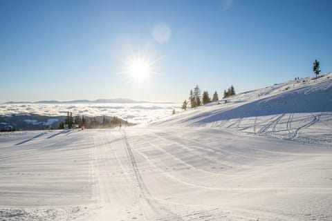 Hotel-Gasthof Deixelberger Hotel in Carinthia, Austria