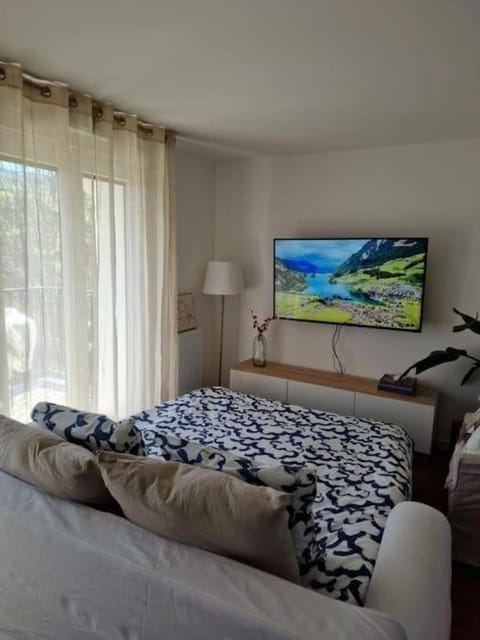 Communal lounge/ TV room, TV and multimedia, Living room