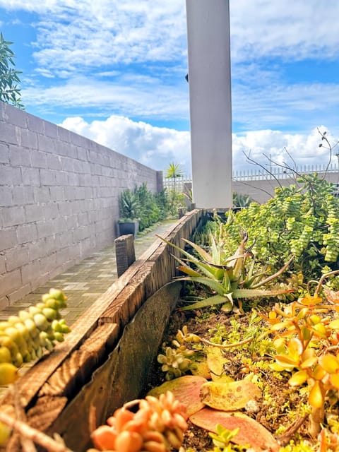 Lalie Apartment in Western Cape