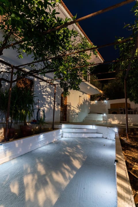 Property building, Night, Garden, Garden view