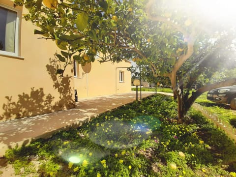 Natural landscape, Garden view, Parking