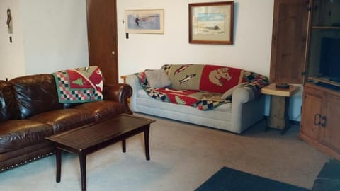 Historic Big Mountain Chalet Lower Apartment in Whitefish