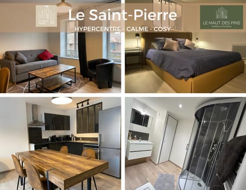 Hypercentre, calme, cosy - Le Saint-Pierre Apartment in Pontarlier