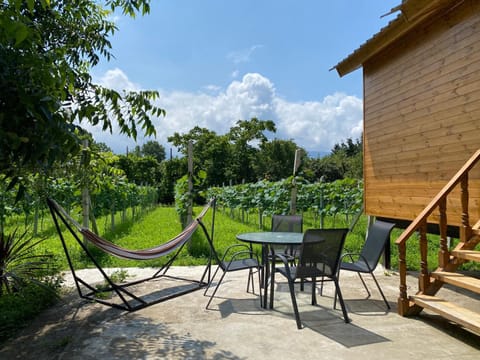 Natural landscape, Garden, Garden view