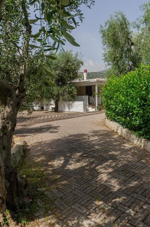 Property building, Garden view