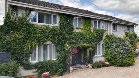 Property building, Day, Garden, Garden view