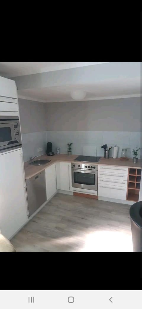 Kitchen or kitchenette, dishwasher, minibar, pet friendly, stove