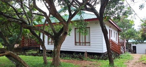 Natural landscape, Garden, Garden view